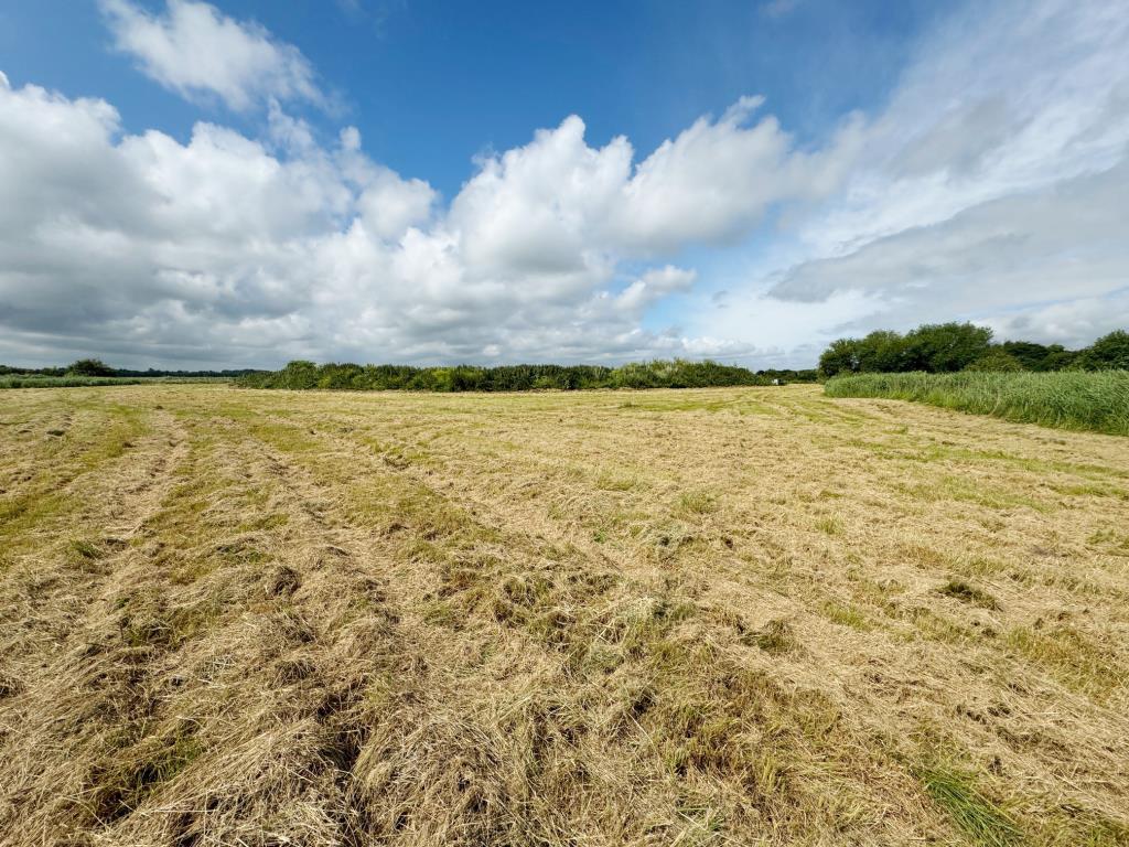 Lot: 163 - APPROXIMATELY NINE ACRES LAND INCORPORATING FLIGHT POND IN IDYLLIC LOCATION - View of the land